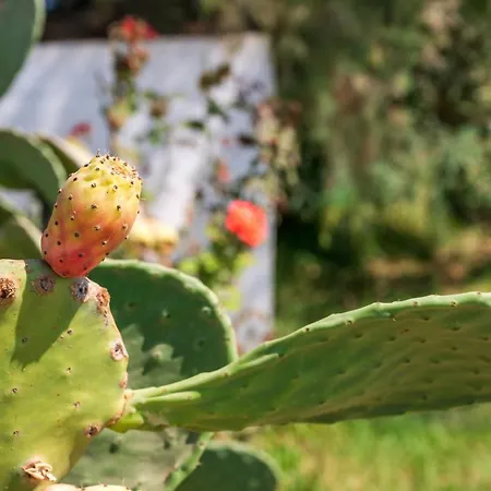 Apartahotel Jonathan